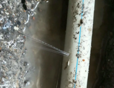 盐城市测漏水哪家好