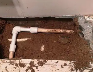 盐城市测漏水哪家好