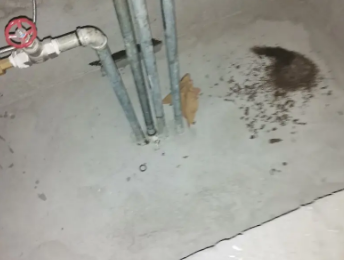 盐城市卫生间测漏水价格明细